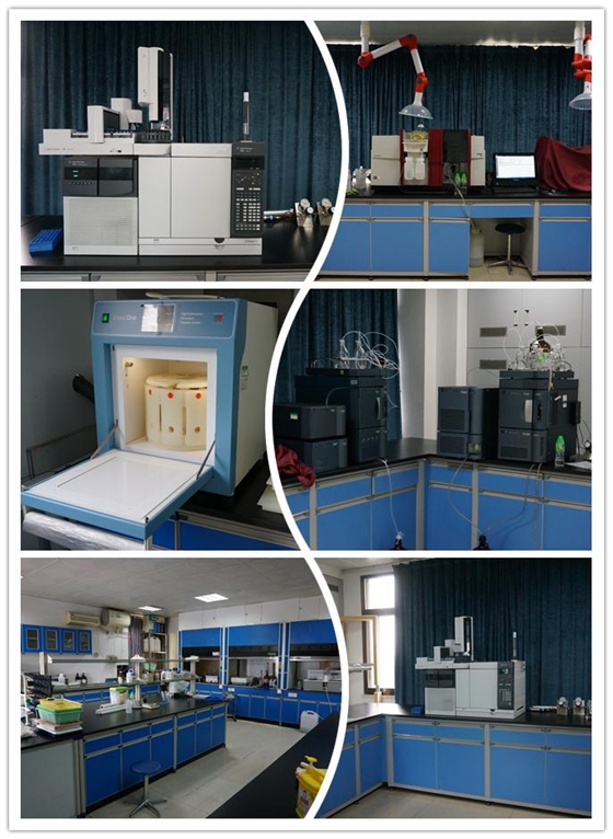 氣相色譜儀 氣相色譜儀