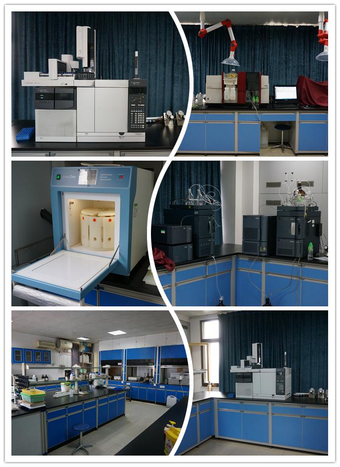 氣相色譜儀 氣相色譜儀