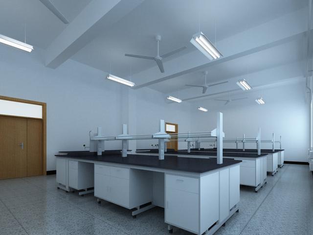 實(shí)驗(yàn)臺(tái)柜 實(shí)驗(yàn)臺(tái)柜